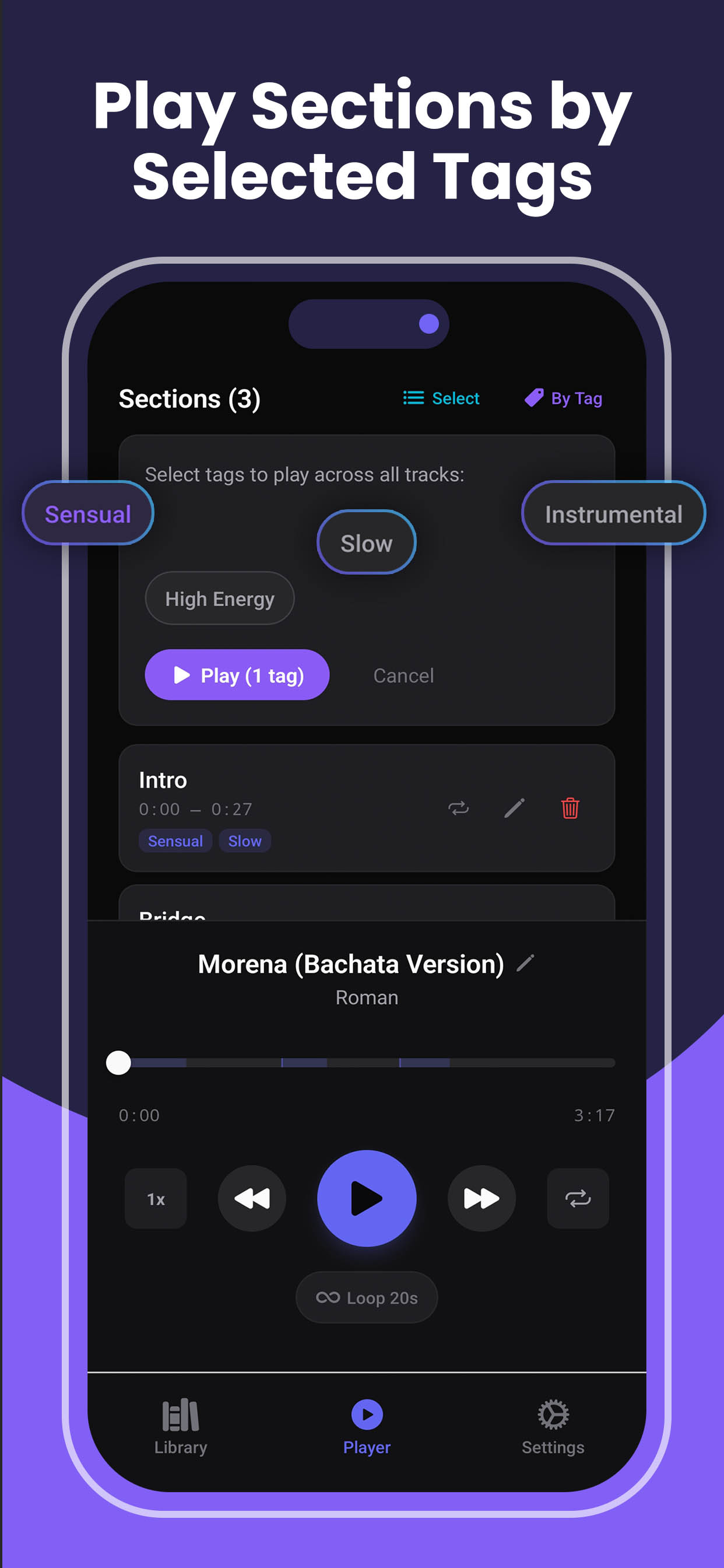 SMTC tag-based playback selector showing Sensual, Slow, Instrumental, and High Energy tags for playing matching sections across all tracks